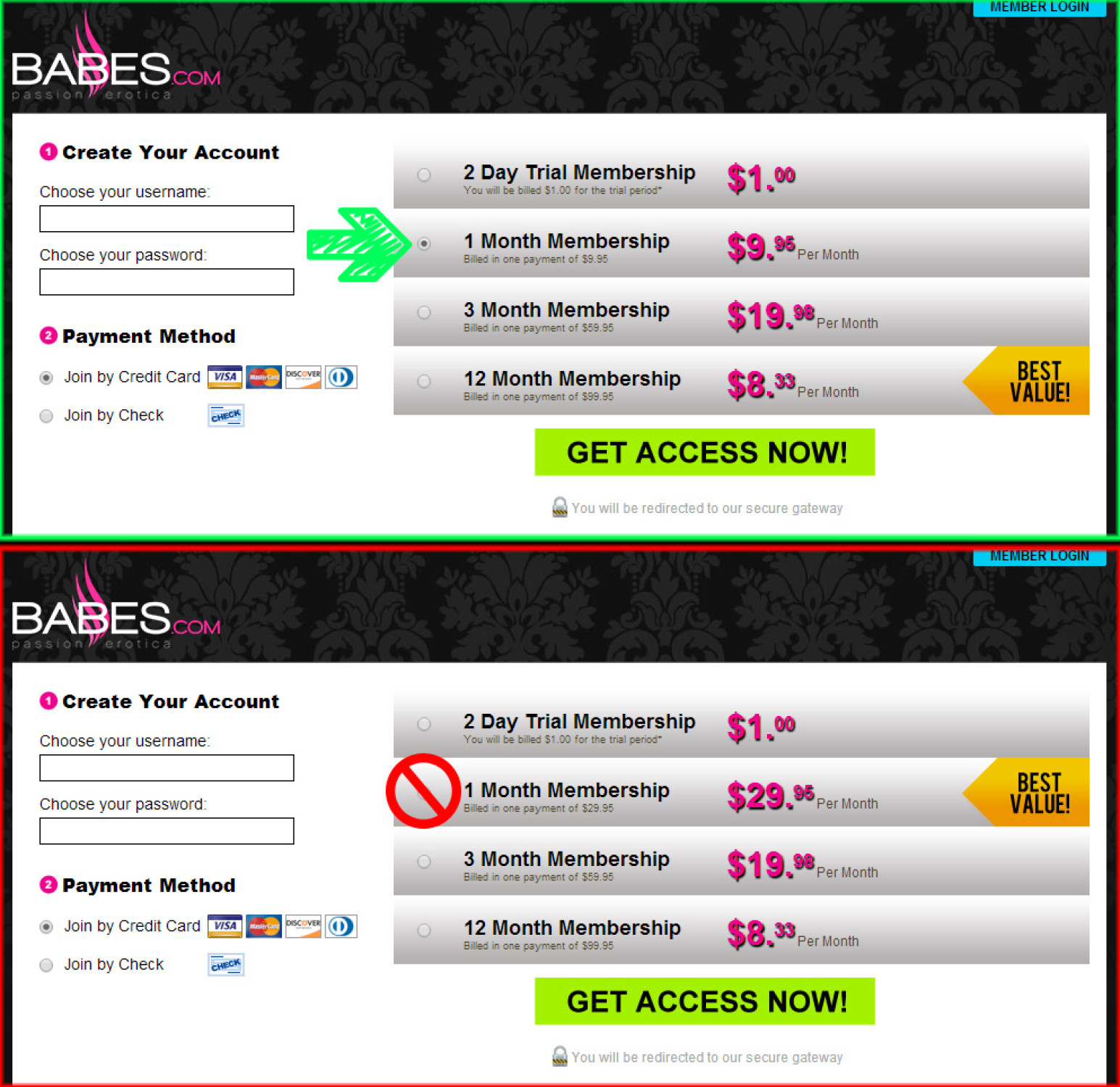 babes-network-discount-proof